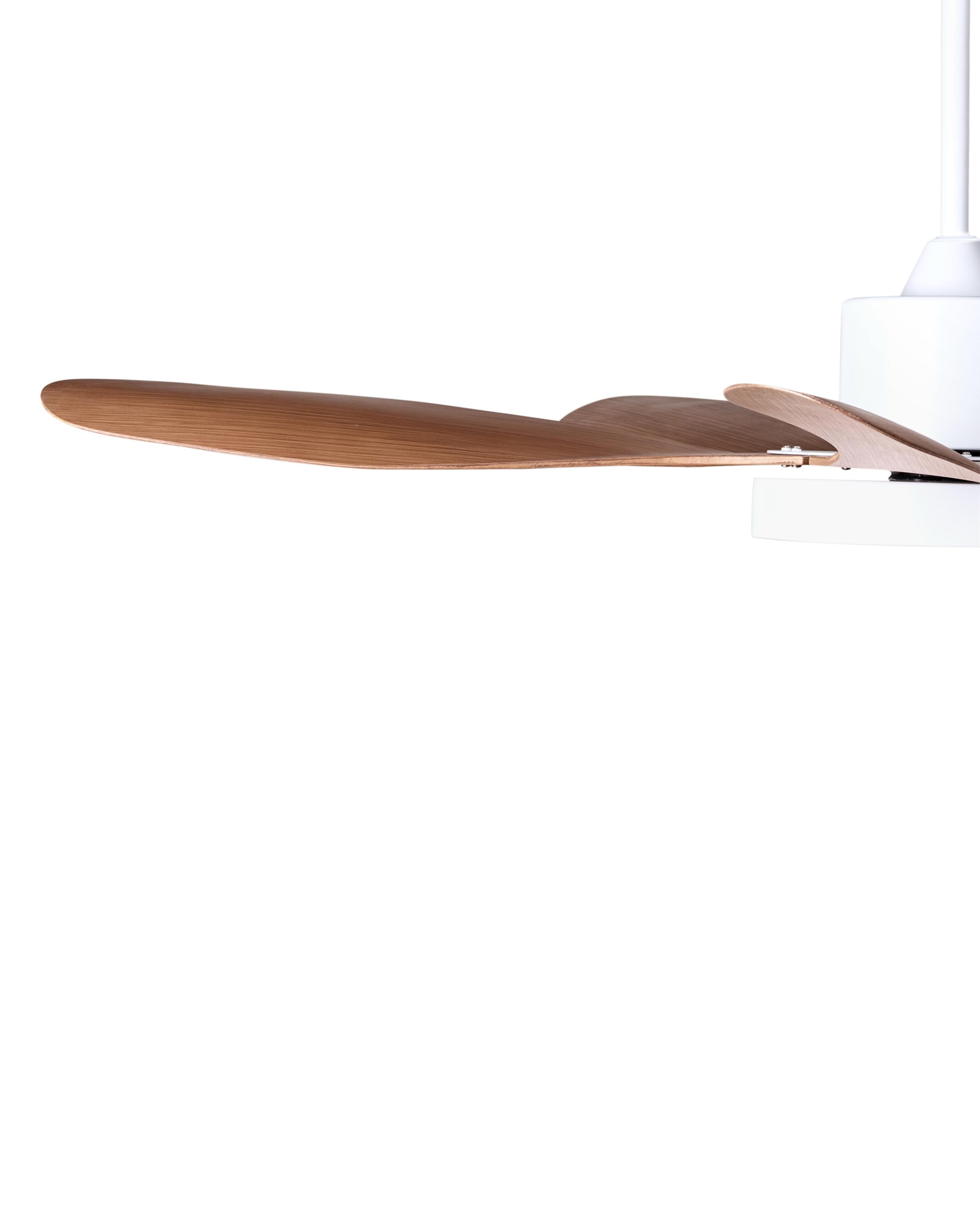  Ceiling Fan With Light BARBET With Remote LED Light Brown
