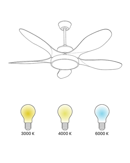  Ceiling Fan With Light BARBET With Remote LED Light Brown