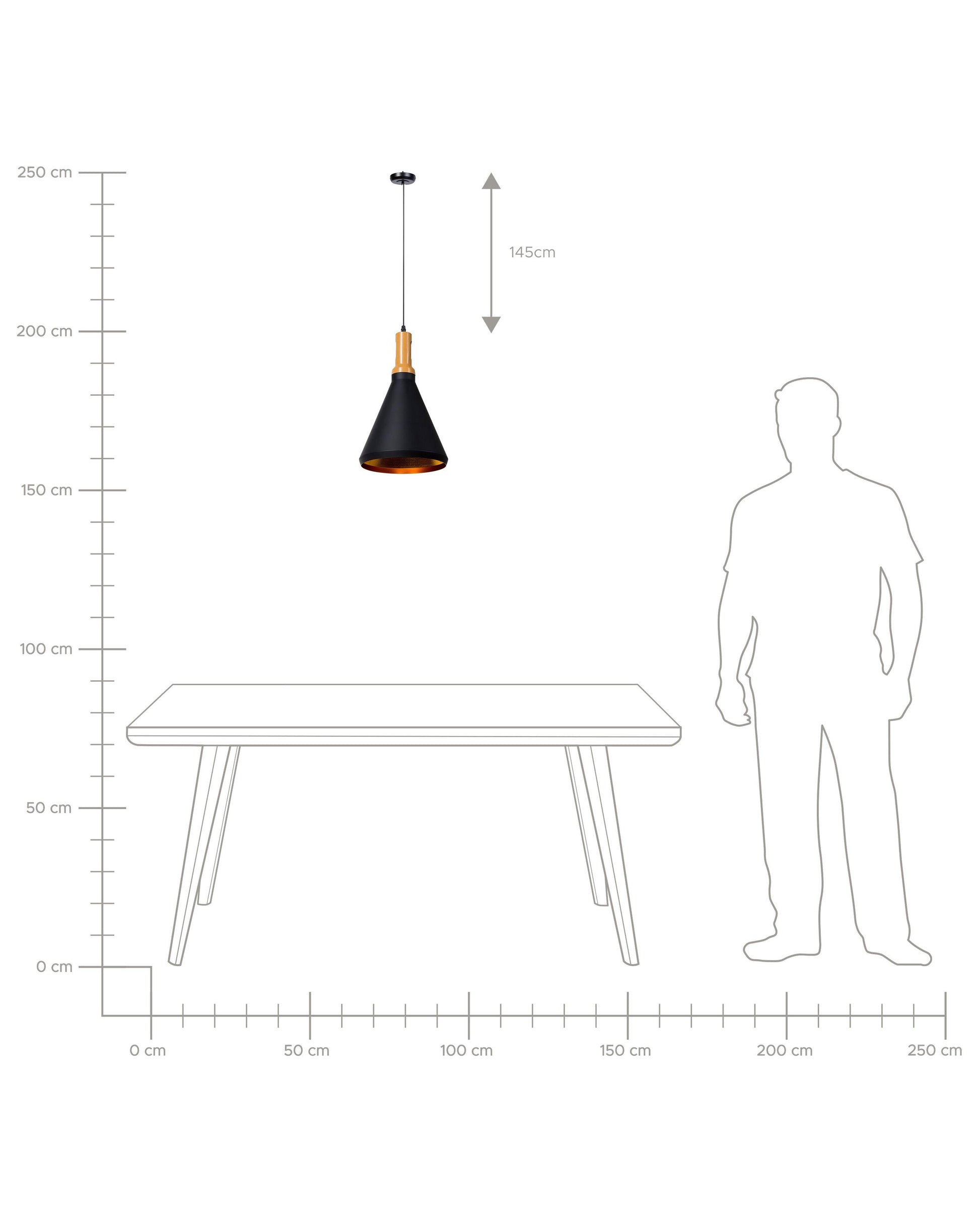  Pendant Lamp MACKENZIE Metal Black