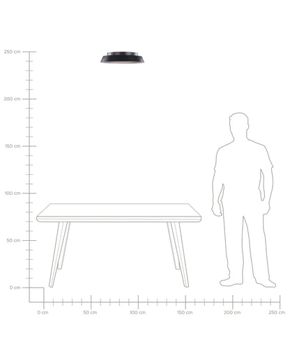 LED Ceiling Lamp BILIN Metal Black