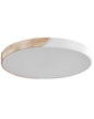  LED Ceiling Lamp PATTANI Metal White