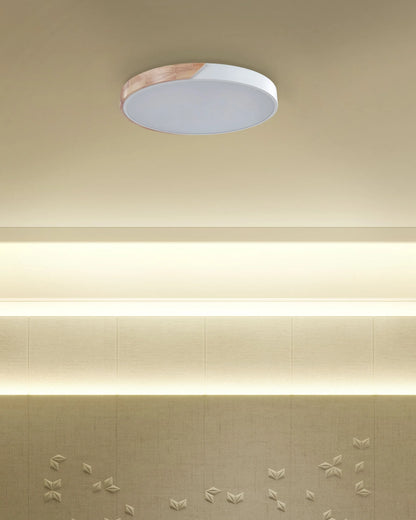  LED Ceiling Lamp PATTANI Metal White