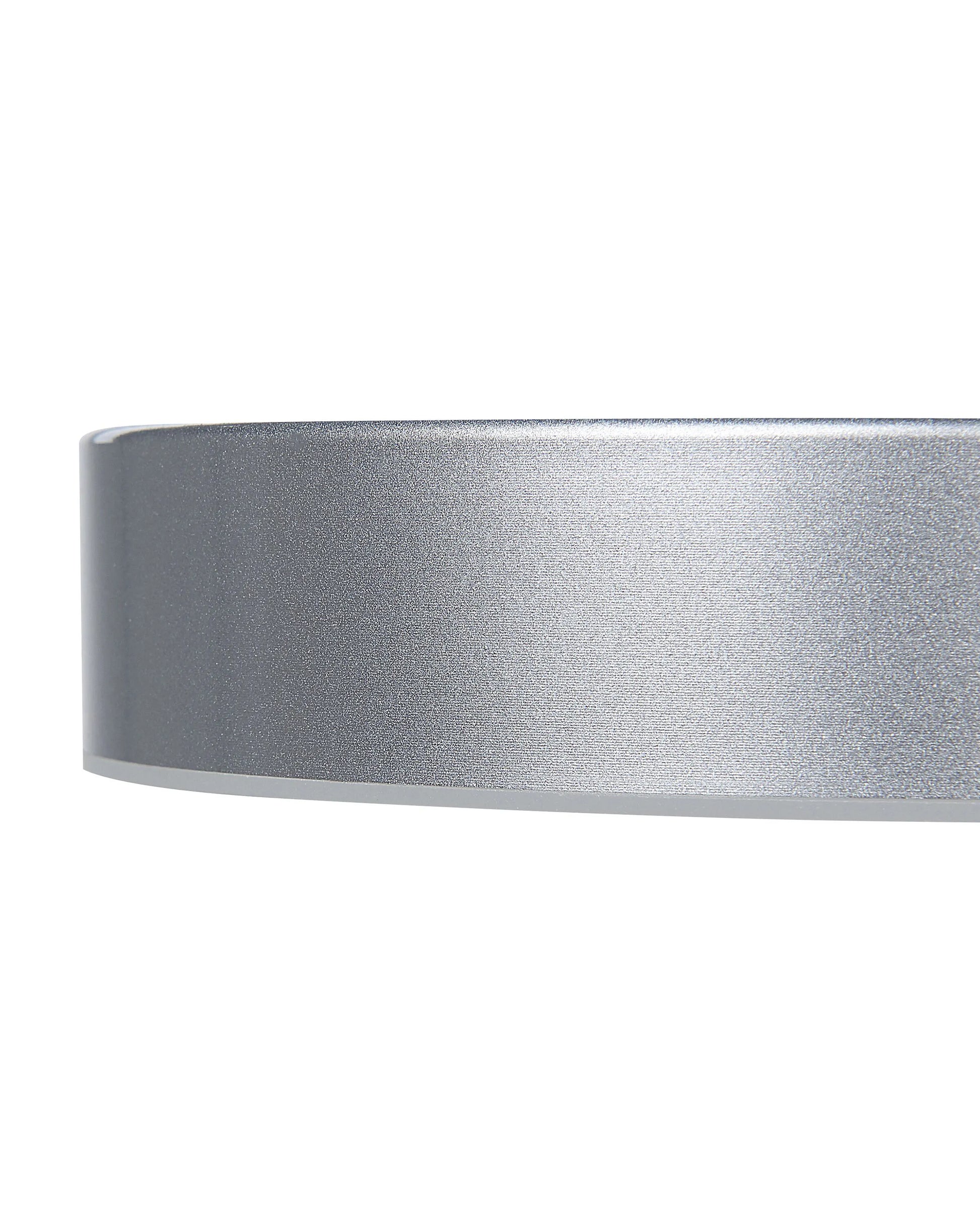  LED Ceiling Lamp LUGA Metal Silver