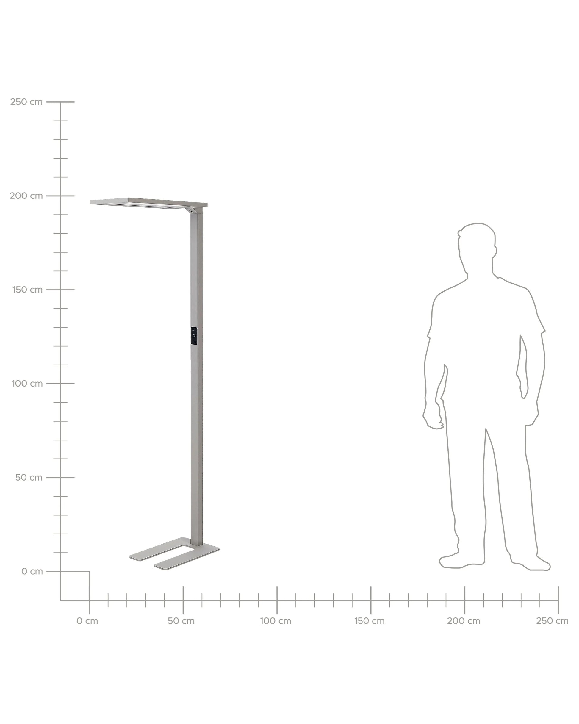  LED Floor Lamp ORION With Motion Sensor Metal Silver