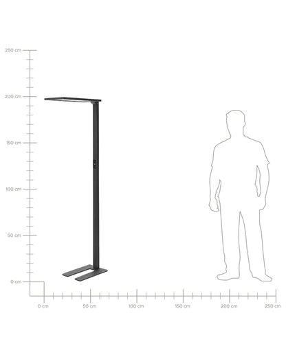  LED Floor Lamp ORION With Motion Sensor Metal Black