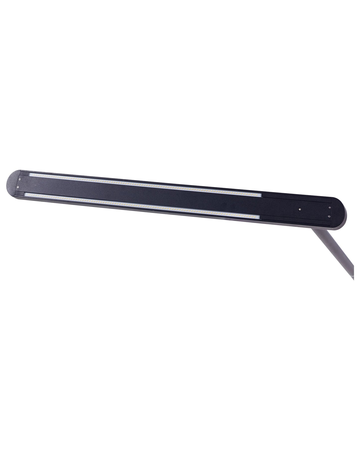  LED Floor Lamp PERSEUS Metal Black