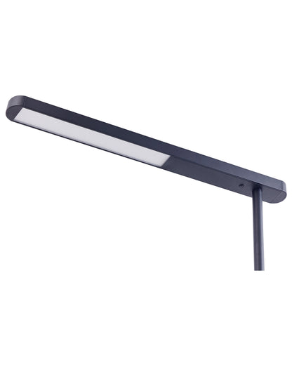  LED Floor Lamp PERSEUS Metal Black