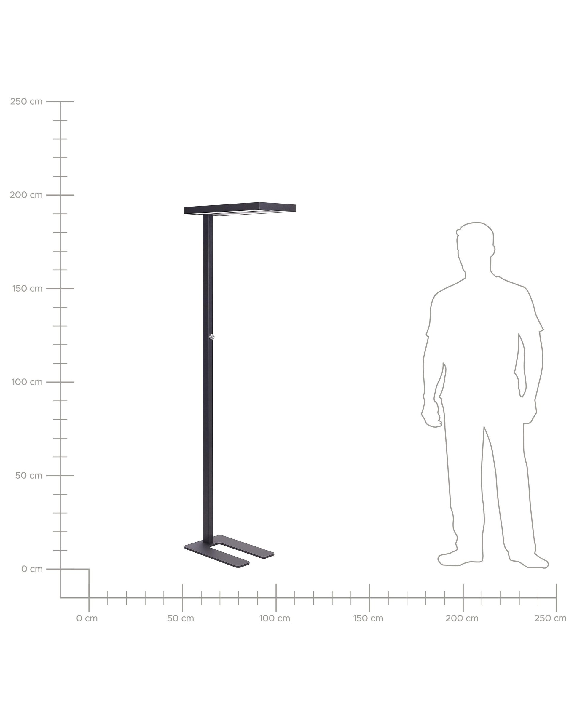  LED Floor Lamp TAURUS With Dimmer Metal Black