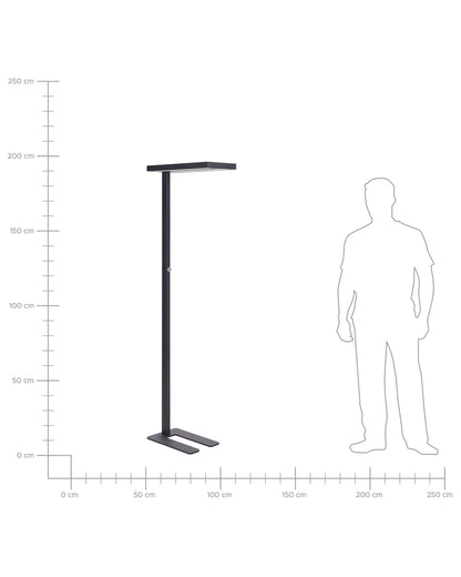  LED Floor Lamp TAURUS With Dimmer Metal Black