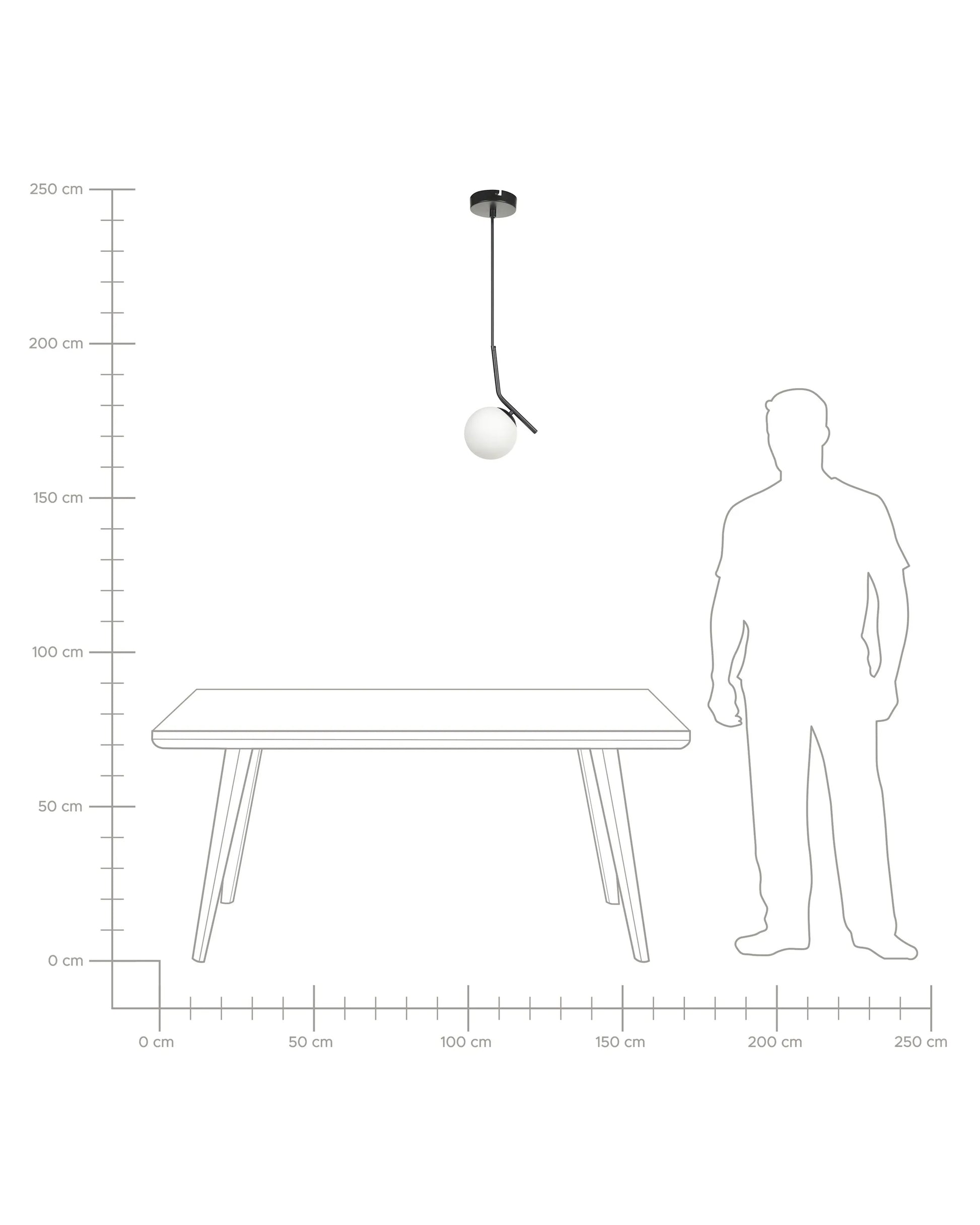  Pendant Lamp WAPITI Glass Black