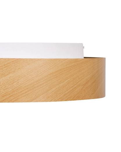  LED Ceiling Lamp BRAGOTO With Dimmer Metal Light Brown