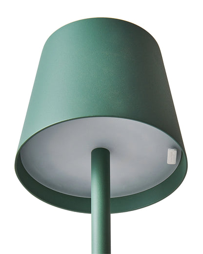  Wireless LED Floor Lamp GAVARRESA Metal Green