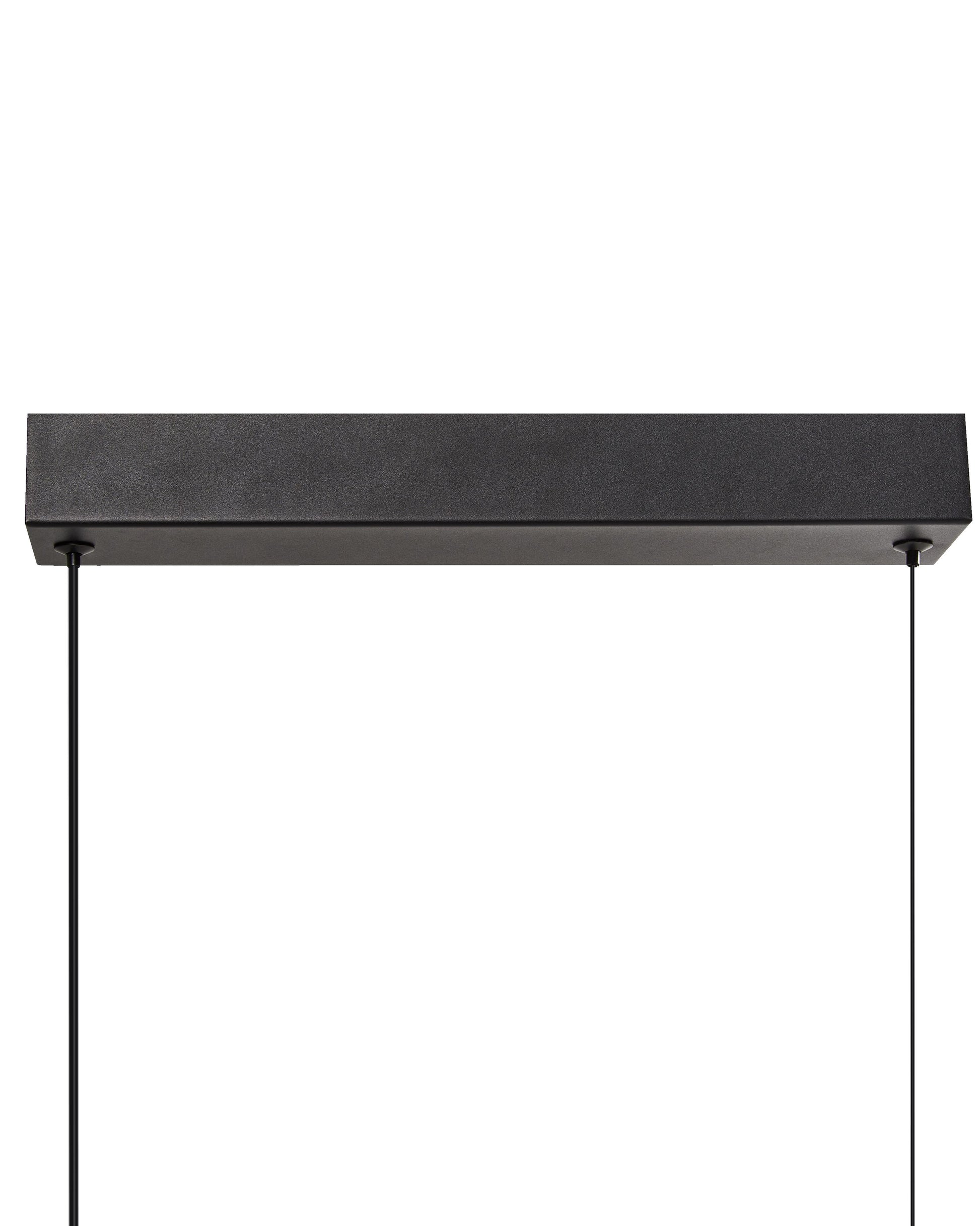  LED Pendant Lamp ARENAS With Remote Black