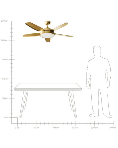  Ceiling Fan With Light GOSHAABA With Remote LED Brass